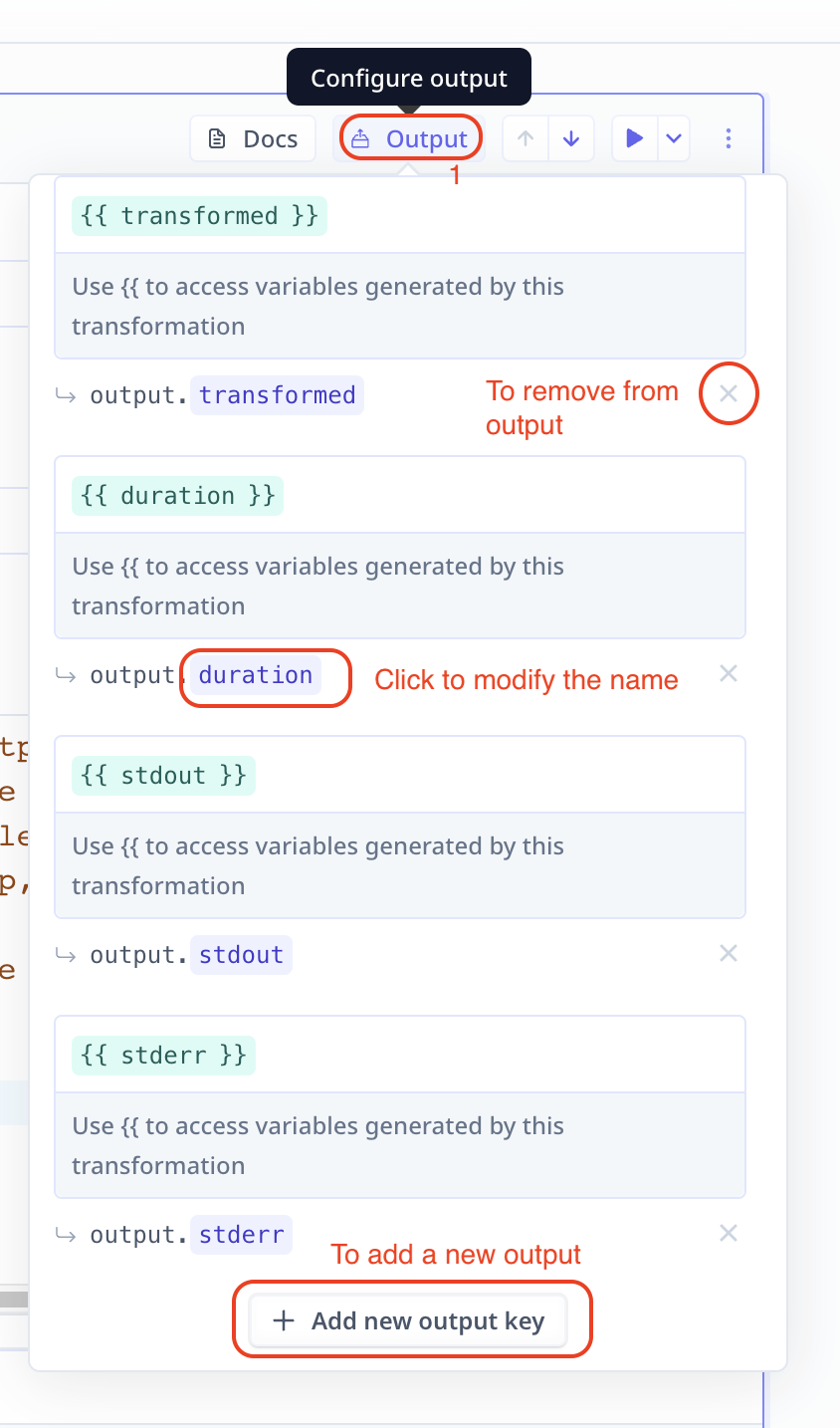 The output configuration panel for a step